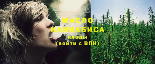 сатива Новозыбков
