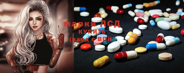 стаф Новокубанск