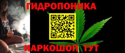 крисы Волжский