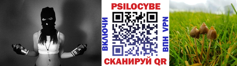 Псилоцибиновые грибы Psilocybine cubensis  где продают наркотики  кракен онион  Алексин 