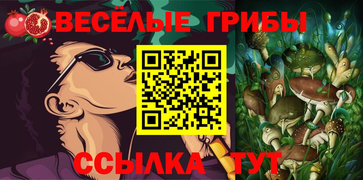 Алексин  как найти   Псилоцибиновые грибы Psilocybine cubensis  Вход с VPN  Галлюциногенные грибы прущие грибы 