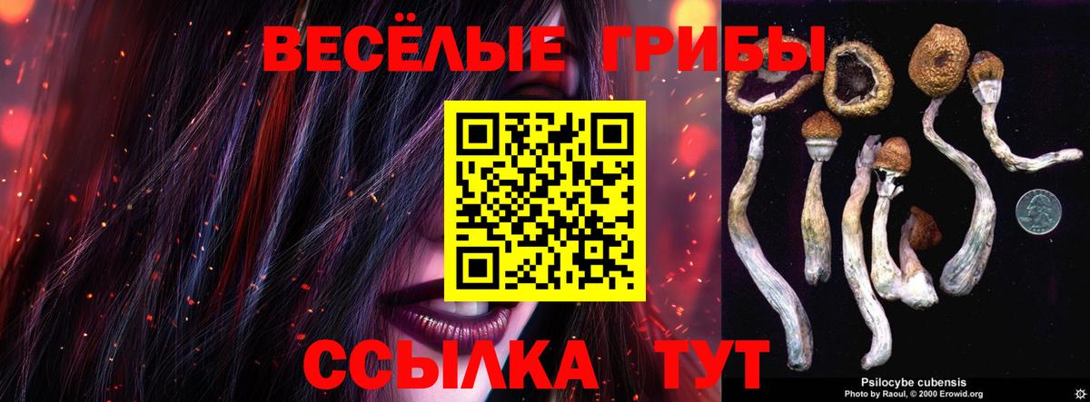 Псилоцибиновые грибы Magic Shrooms  Псилоцибиновые грибы Cubensis  Алексин 